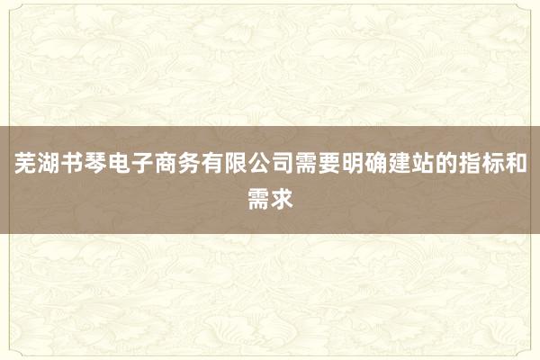 芜湖书琴电子商务有限公司需要明确建站的指标和需求