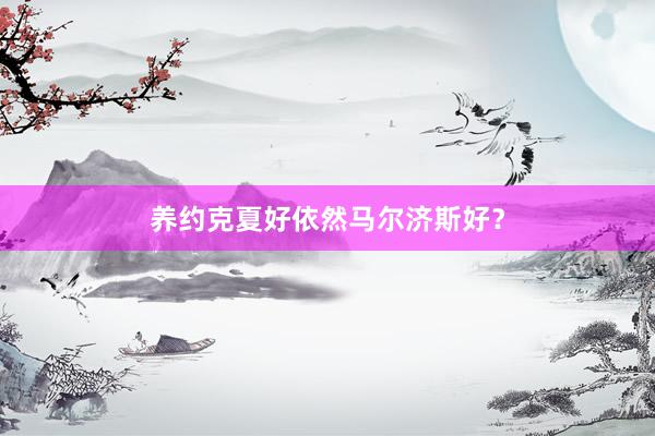 养约克夏好依然马尔济斯好？