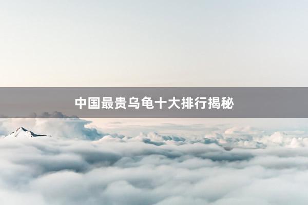 中国最贵乌龟十大排行揭秘