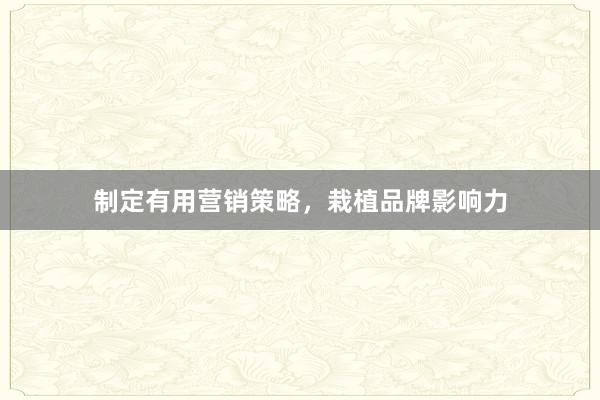 制定有用营销策略，栽植品牌影响力