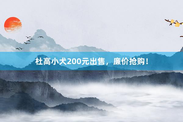 杜高小犬200元出售，廉价抢购！